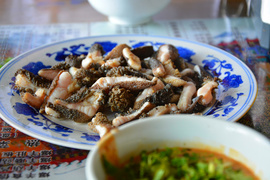 image of Dong Xing Shun Bao Du Zhang