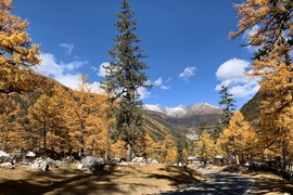 image of Zhaguanbeng