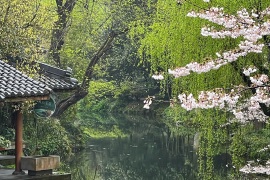 image of Hangzhou West Lake Scenic Area