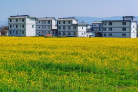 image of Xizhou Ancient Town