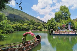 image of Butterfly Spring