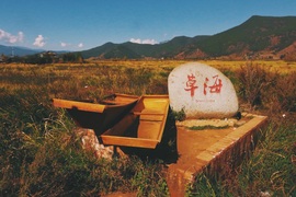 image of Grass Sea