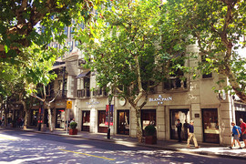 image of Shanghai Xintiandi (Ma Dang Road)
