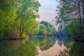 image of . Xixi National Wetland Park