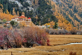 image of Chonggu Temple
