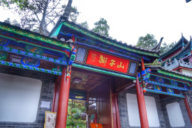 image of Lion Mountain