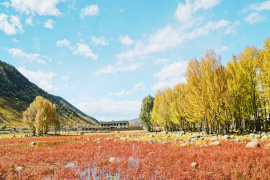 image of Red Grassland
