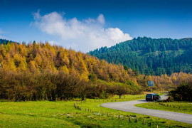 image of Fairy Mountain National Forest Park